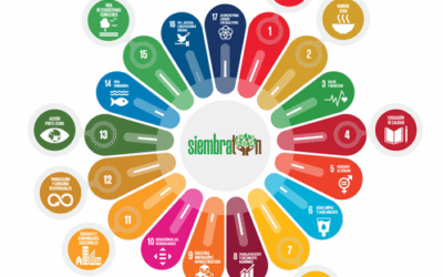 Plan Cultura Basura Cero en mi colegio