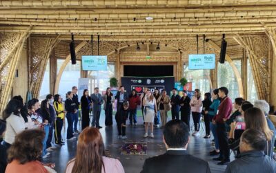 Desarrollamos capacitaciones con 50 colegios en presencial y con 800 docentes de manera virtual en colaboración con el Ministerio de Educación con el fin de promover la Restauración de Ecosistemas y la Gestión de Residuos en el marco de la Educación para el Desarrollo Sostenible